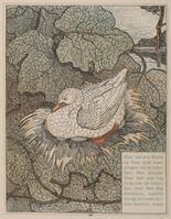 KG 2014 041
<br/>
Een eend op haar nest
<br/>
<em>Hoytema, Theo van (1863 -1917)</em>